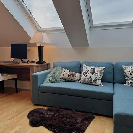 Daire Beautiful Penthouse Centrally Located In Geilo, Stunning Views Geilo