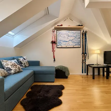 アパート Beautiful Penthouse Centrally Located In Geilo, Stunning Views ヤイロ