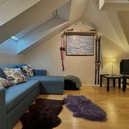 Beautiful Penthouse Centrally Located In Geilo, Stunning Views 아파트 게일로